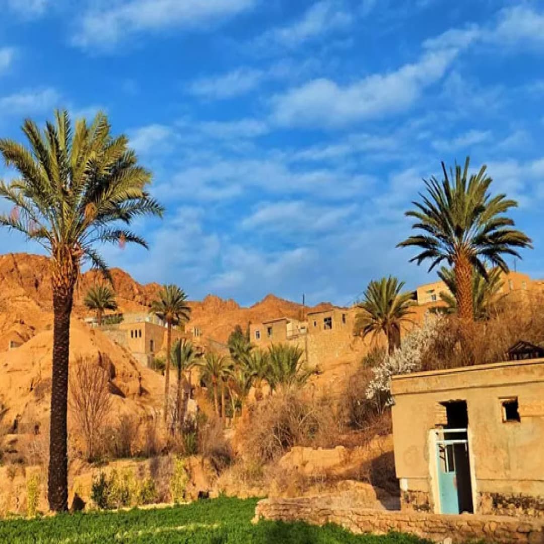 اقامتگاه