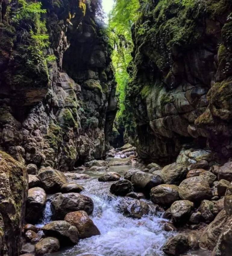 تنگه دار